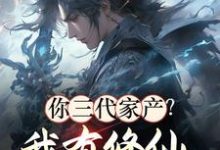 你三代家产?我有修仙小世界资源林十一小说大结局免费试读-艾米文学