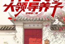 周子安完整版《年代七零,开局大领导养子》小说免费阅读-艾米文学