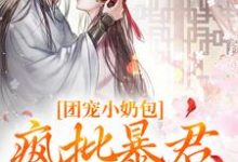 团宠小奶包，疯批暴君沉迷养崽小说全文哪里可以免费看？-艾米文学