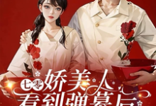 司念贺清宴完整版小说免费阅读-艾米文学