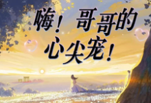 冷萧宇夏之微完整版小说《嗨!哥哥的心尖宠!》免费阅读-艾米文学