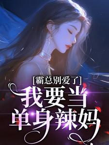 霸总别爱了，我要当单身辣妈宋稚傅律，霸总别爱了，我要当单身辣妈在线无弹窗阅读