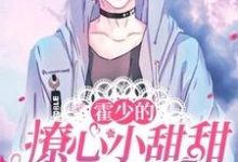 霍少的撩心小甜甜又暴富了慕岑霍勋元小说在线章节免费阅读-艾米文学