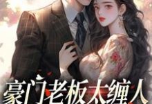 《豪门老板太缠人,为她折腰为她疯》小说免费阅读完整版-艾米文学