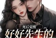 小说《好好先生的真实面目》完整版章节免费阅读-艾米文学