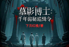 求墓影博士:千年诡秘追缉令小说的全文免费阅读链接-艾米文学