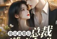 完结版《协议离婚后,总裁燃遍全球》章节阅读-艾米文学