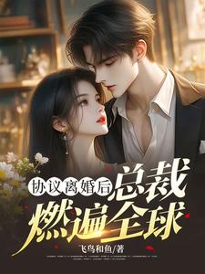 完结版《协议离婚后，总裁燃遍全球》章节阅读