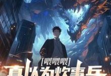 林枫小说《喂喂喂，真以为炊事兵只会做菜？》完整版免费阅读-艾米文学