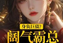 完结版《身负巨债?阔气霸总随手解决!》章节目录在线阅读-艾米文学
