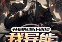 开局捡漏正阳绿，我异能强度拉满田泽小说在线章节免费阅读-艾米文学