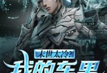 末世太冷？我的车里温暖如春叶南叶北，末世太冷？我的车里温暖如春章节在线阅读-艾米文学