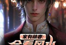 安阳柴小月小说完整版《家有萌妻:会看风水还会看面相!》免费阅读-艾米文学