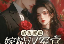 渣男被抢，嫁糙汉军官养崽躺赢小说免费资源，渣男被抢，嫁糙汉军官养崽躺赢在线阅读-艾米文学