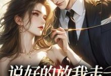 完结版《说好的放我走，你咋又锁门了》章节目录在线阅读-艾米文学