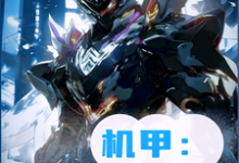 完结版《机甲:不过是天梯第一罢了》章节阅读-艾米文学
