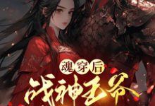 已完结小说《魂穿后,战神王爷非我不娶》在线章节阅读-艾米文学