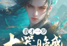 刘景小说我才一岁,大器晚成什么鬼?完整版阅读-艾米文学