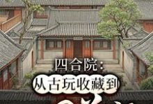 小说完整版《四合院：从古玩收藏到世界首富》免费阅读-艾米文学