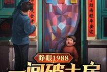 睁眼1988一间破土房俩没娘娃江山夏莹莹小说在线章节免费阅读-艾米文学