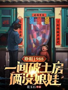 睁眼1988一间破土房俩没娘娃江山夏莹莹小说在线章节免费阅读