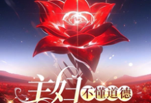 苏婉完整版小说《主妇不懂道德只懂法》免费阅读-艾米文学