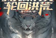 灵魂分身弱？我无限分身轮回洪荒小说的免费阅读版本在哪里可以找到？-艾米文学