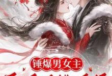 苏青黛秦鼎小说叫什么(锤爆男女主:医妃手撕系统撩暴君完整版免费阅读)-艾米文学