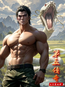 第五传奇这本小说在哪里可以看？哪里有免费试读章节？