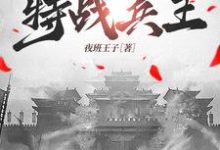 抗战之特战兵王王海涛在线章节免费阅读-艾米文学