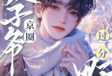 追老婆!京圈太子爷过分野!小说的免费电子版在哪里可以下载或阅读?-艾米文学