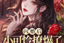 闪婚后,小可怜撩爆了首富大佬沈知薇,闪婚后,小可怜撩爆了首富大佬小说免费阅读-艾米文学
