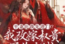 慕窈小说平妻比我先进门?我改嫁权贵冠绝京城在线阅读章节-艾米文学