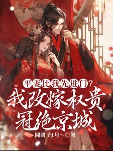 慕窈小说平妻比我先进门？我改嫁权贵冠绝京城在线阅读章节