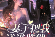 妻子把我送进监狱,她跪求我原谅这本小说在哪里可以看?哪里有免费试读章节?-艾米文学