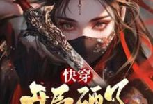 林夕诸葛亮完整版小说《快穿:开局砸了丞相的七星灯》免费阅读-艾米文学