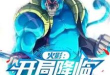 《火影:开局降临猿魔圣地》小说大结局免费试读 袁皓小说-艾米文学