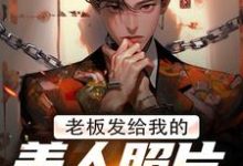 免费在线阅读老板发给我的美人照片是老板娘小说的正规网站有哪些？-艾米文学