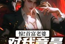 惊！首富老婆对我竟是蓄谋已久！叶安，惊！首富老婆对我竟是蓄谋已久！完整版最新章节-艾米文学