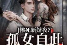 《惨死新婚夜？孤女自此逆天改命》沈晚柠江行简小说免费阅读完整版-艾米文学