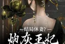 结局休妻？炮灰王妃她力挽狂澜最新章节，结局休妻？炮灰王妃她力挽狂澜免费阅读-艾米文学