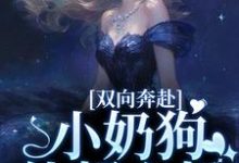 《双向奔赴，小奶狗他超心机》全集免费在线阅读（姜以宁贺驰）-艾米文学