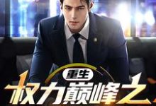 重生:权力巅峰之官场风云!免费阅读,重生:权力巅峰之官场风云!章节目录-艾米文学