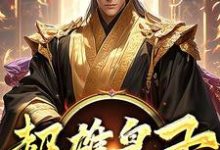 已完结小说《超雄皇子》章节免费阅读-艾米文学