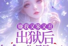 小说《嫌我又笨又丑，出狱后全家哭死！》章节免费阅读-艾米文学