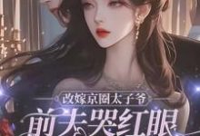 改嫁京圈太子爷,前夫哭红眼求我别嫁小说的免费阅读版本在哪里可以找到?-艾米文学