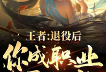 求王者：退役后，你成职业通天代！小说的全文免费阅读链接-艾米文学
