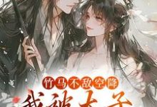 薛泠谢珩小说免费阅读完整版-艾米文学