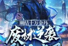 刚结十万金丹,废材逆袭系统来了楚云,刚结十万金丹,废材逆袭系统来了在线无弹窗阅读-艾米文学