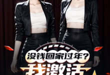 已完结小说《没钱回家过年?我激活0元购系统》在线章节阅读-艾米文学